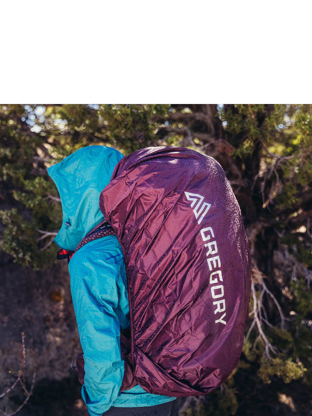 Gregory Deva 70 Zaino da trekking XS 76 cm Gregory Deva 70 Zaino da trekking XS 76 cm