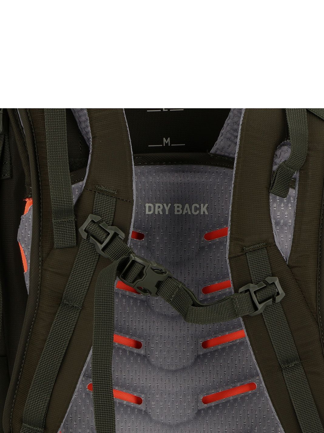 Salewa Alptrek 55+10 Zaino da trekking 79 cm