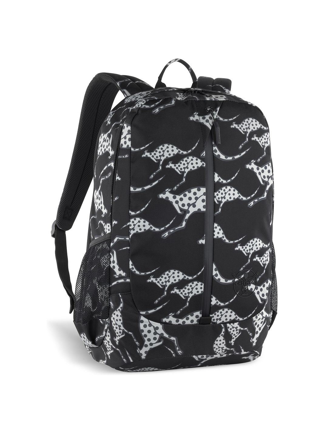 Chiemsee Jump N Fly Zaino da giorno 46 cm Vano porta PC Chiemsee Jump N Fly Zaino da giorno 46 cm Vano porta PC