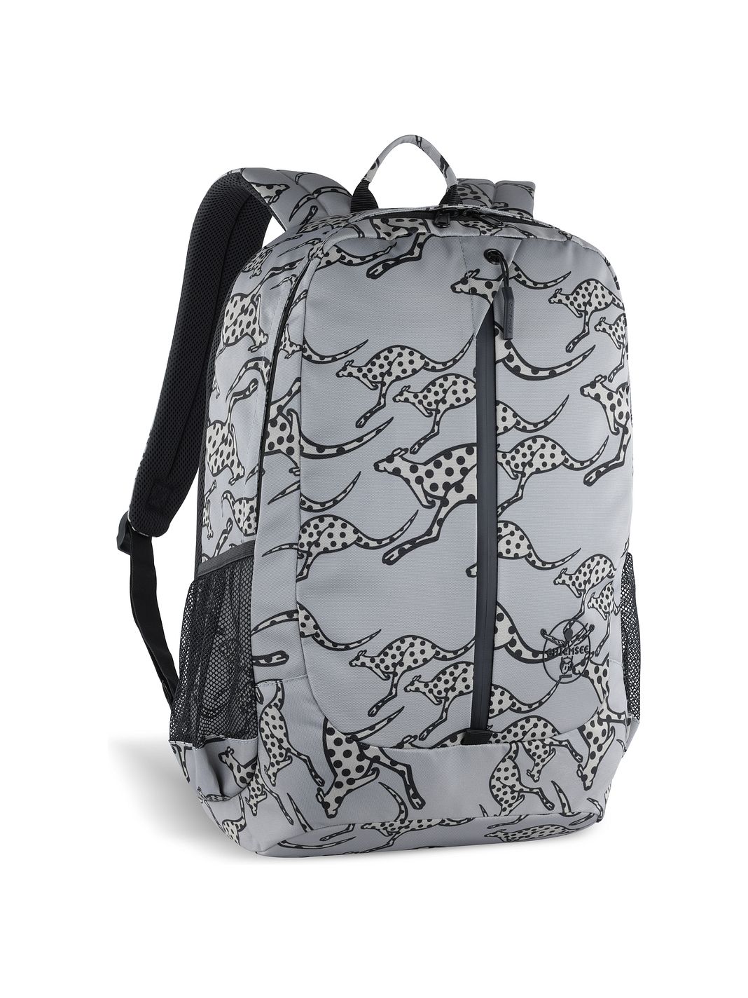 Chiemsee Jump N Fly Zaino da giorno 46 cm Vano porta PC