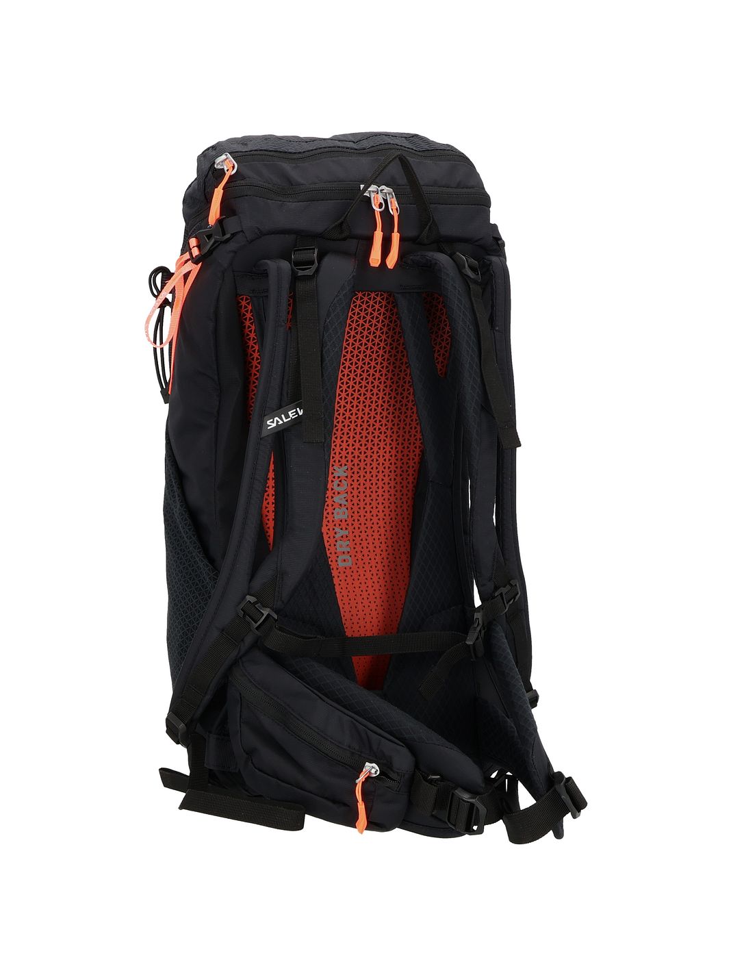 Salewa Alp Trainer 20 Vandrerygsæk 55 cm