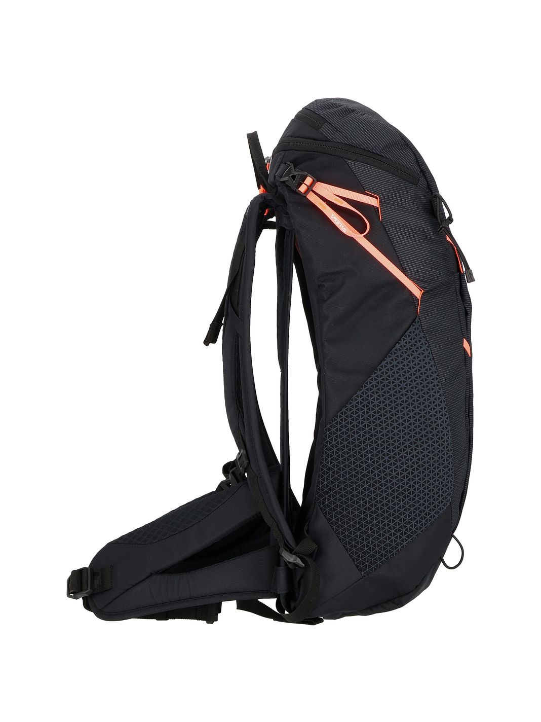 Salewa Alp Trainer 20 Vandrerygsæk 55 cm