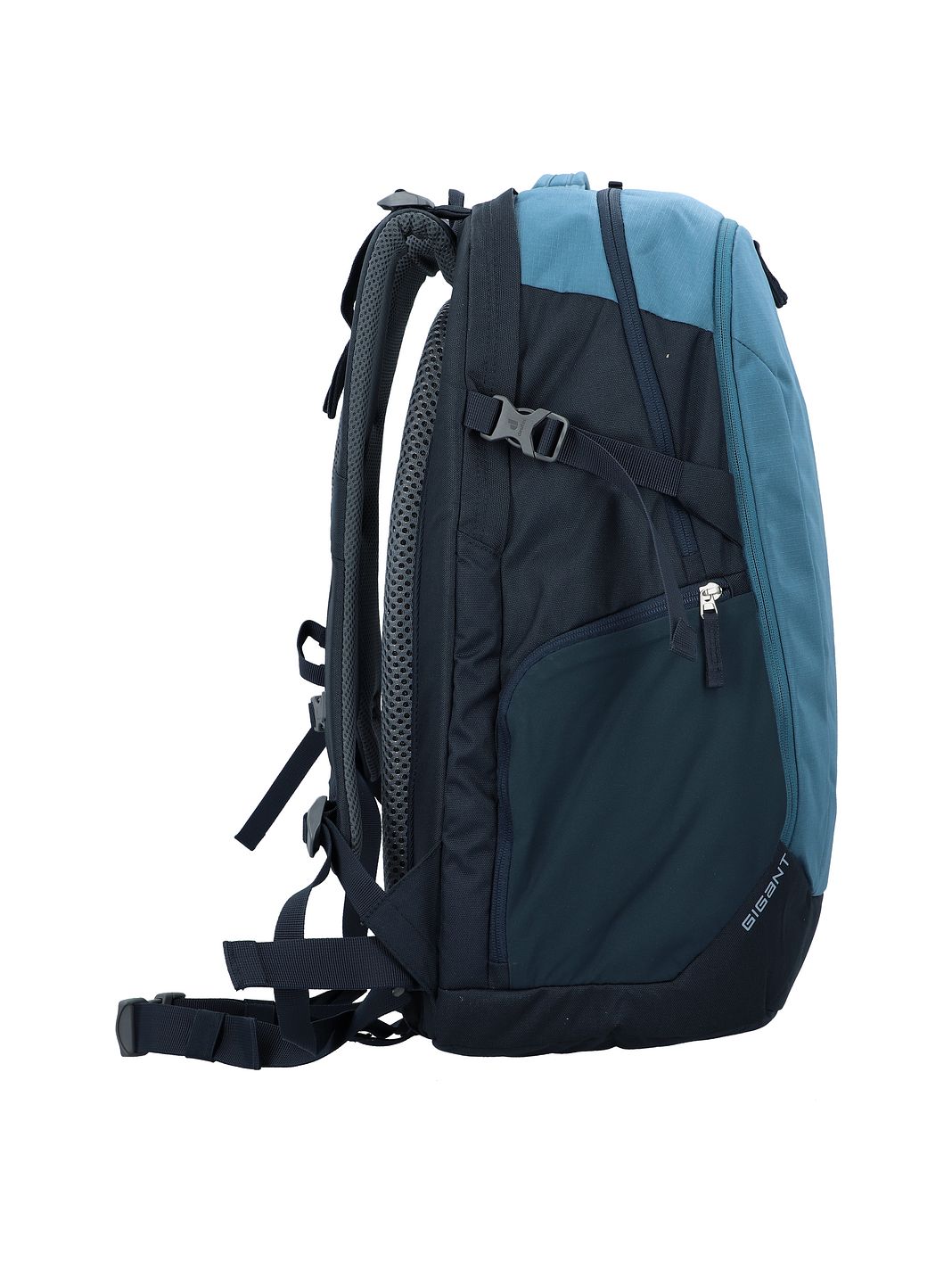 Deuter Gigant Daypack 50 cm Laptoprum Deuter Gigant Daypack 50 cm Laptoprum