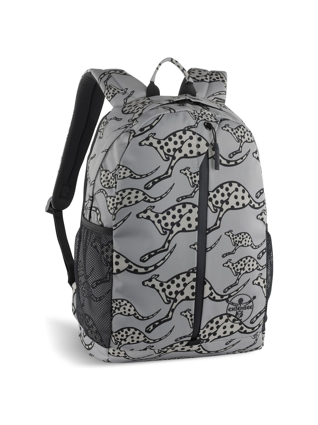 Chiemsee Jump N Fly Zaino da giorno 43 cm Vano porta PC Chiemsee Jump N Fly Zaino da giorno 43 cm Vano porta PC