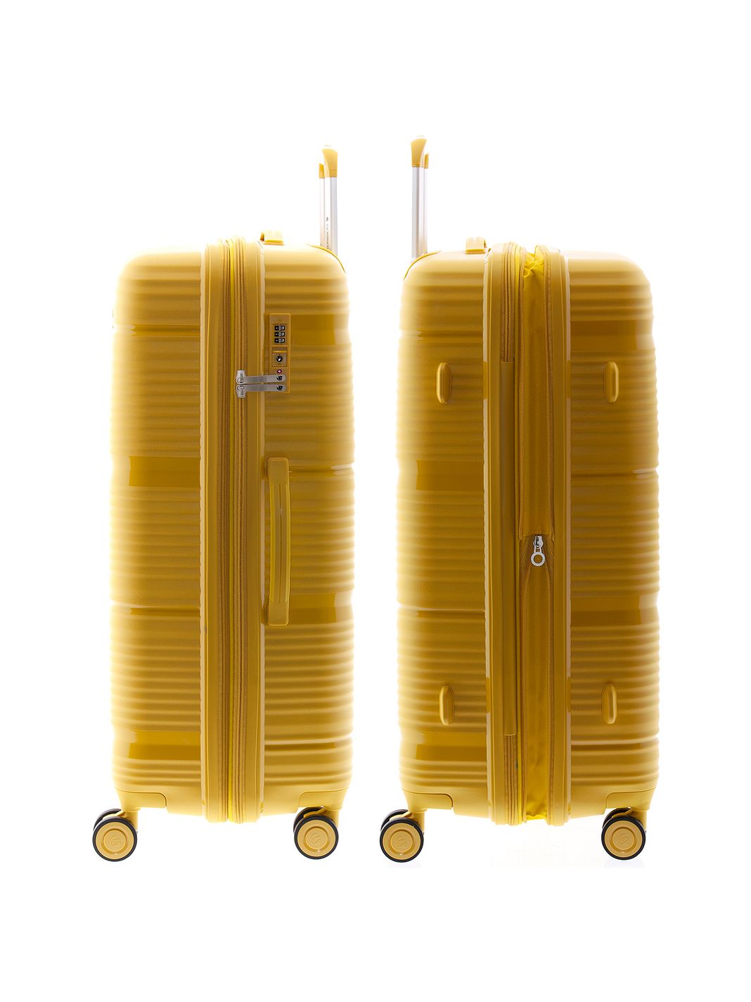 Gladiator 0800 4 ruote Carrello 76 cm espandibile