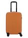 Bellroy bronze
