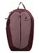 Deuter ashrose-cassis