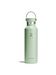 Hydro Flask aloe Hydro Flask aloe