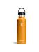 Hydro Flask fossil Hydro Flask fossil