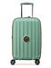 Delsey Paris sage green