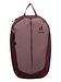 Deuter ashrose-cassis