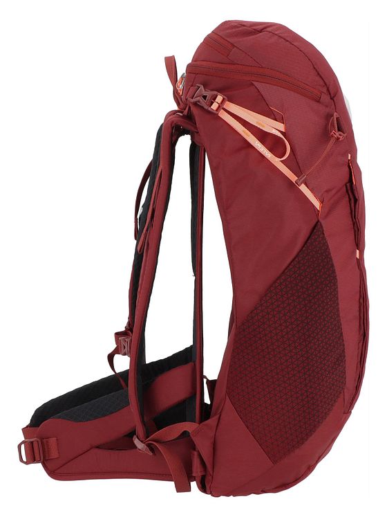 Salewa Alp Trainer 20L rygsæk 55 cm