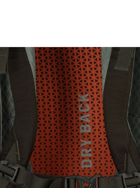 Salewa Alp Trainer 35L rygsæk 65 cm