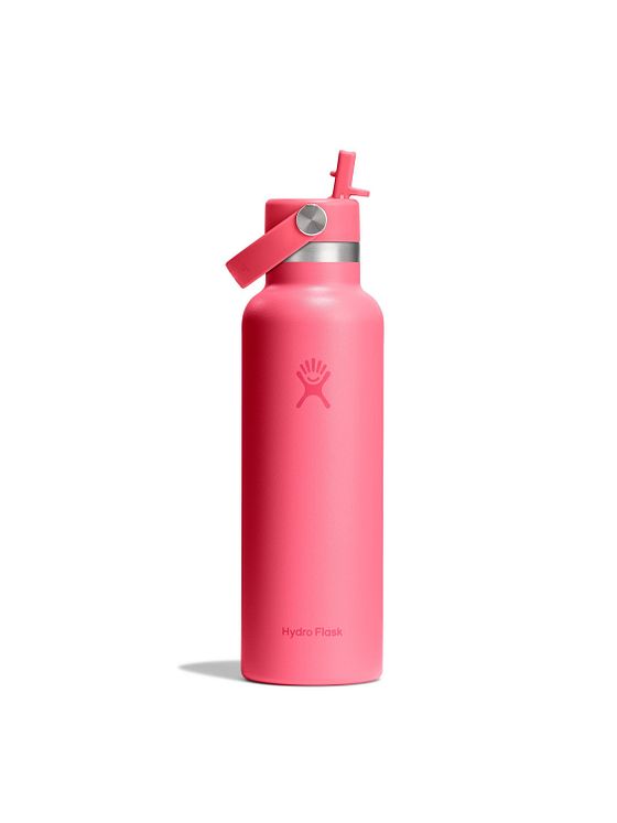 Hydro Flask Hydration Standard Flex Straw Cap Láhev na pití 620 ml