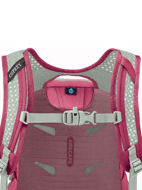 Osprey Daylite Vandrer-rygsæk 40.5 cm