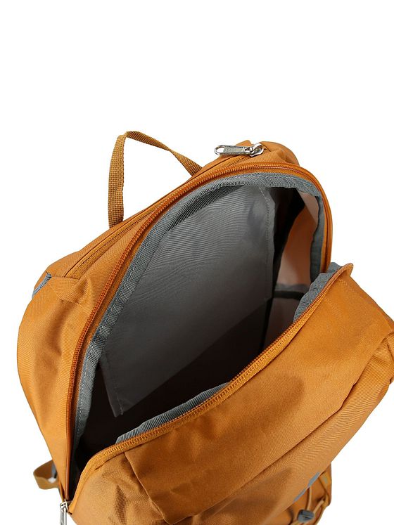 Deuter Gogo Daypack 43 cm Deuter Gogo Daypack 43 cm