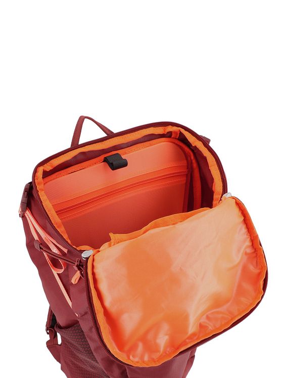 Salewa Alp Trainer 20L rygsæk 55 cm