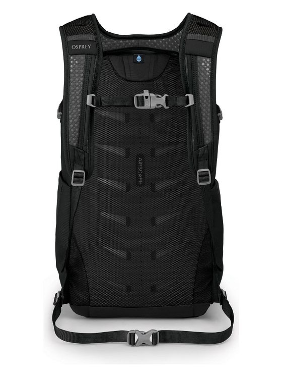 Osprey Daylite Plus-rygsæk 48 cm med rum til bærbar computer