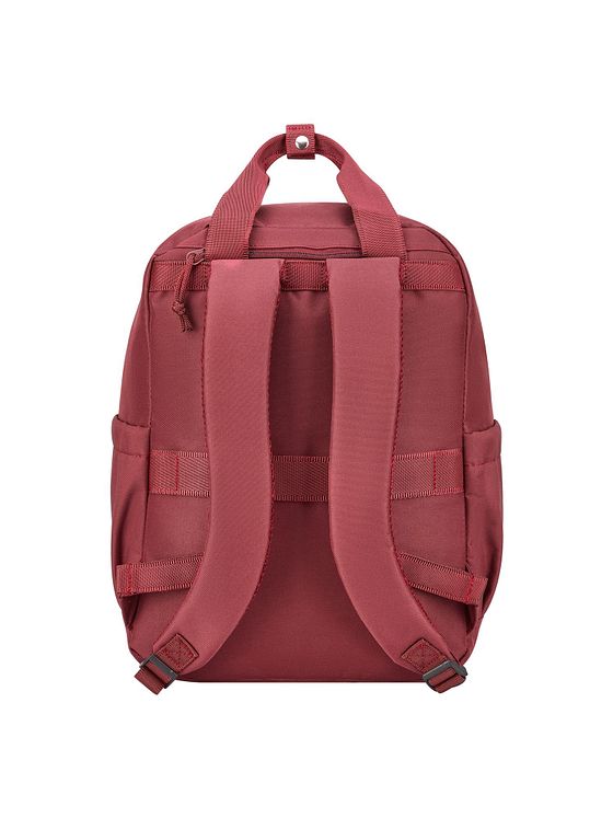 Roncato Warner Bros rejserygsæk 40 cm med rum til bærbar computer