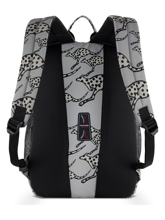 Chiemsee Jump N Fly Daypack 43 cm Laptoprum Chiemsee Jump N Fly Daypack 43 cm Laptoprum