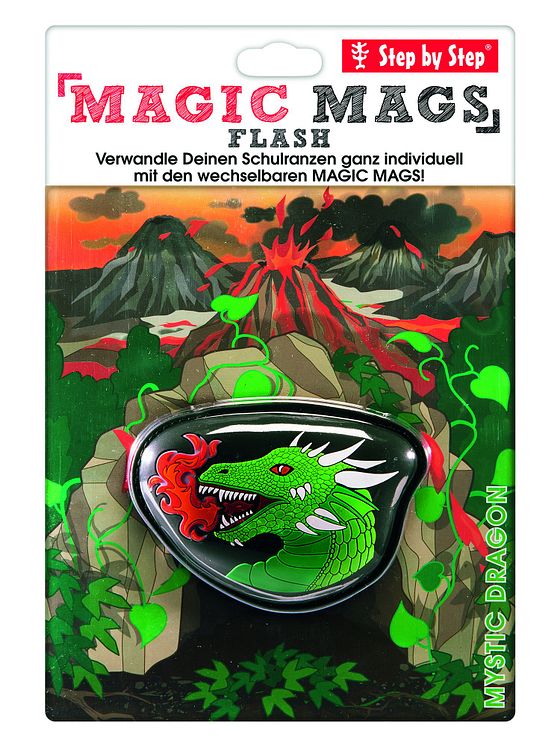 Step by Step Magic Mags Flash
