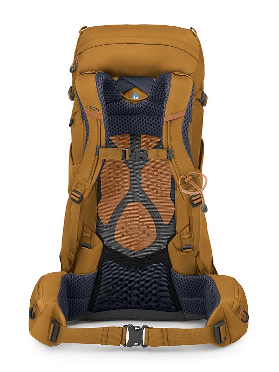 Osprey Kyte 38 Vandrer-rygsæk WM-L 71 cm