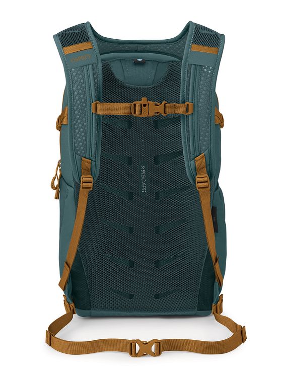 Osprey Daylite Plus-rygsæk 48 cm med rum til bærbar computer