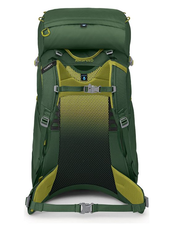 Osprey Ace 38 Trekking-rygsæk 64 cm