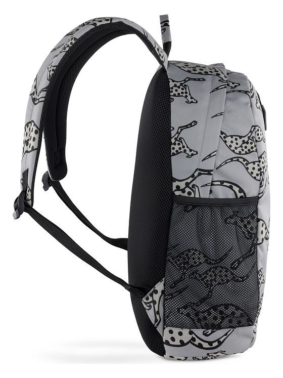 Chiemsee Jump N Fly Daypack 43 cm Laptoprum Chiemsee Jump N Fly Daypack 43 cm Laptoprum
