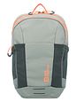 Jack Wolfskin Moab Jam Børne-rygsæk 36 cm