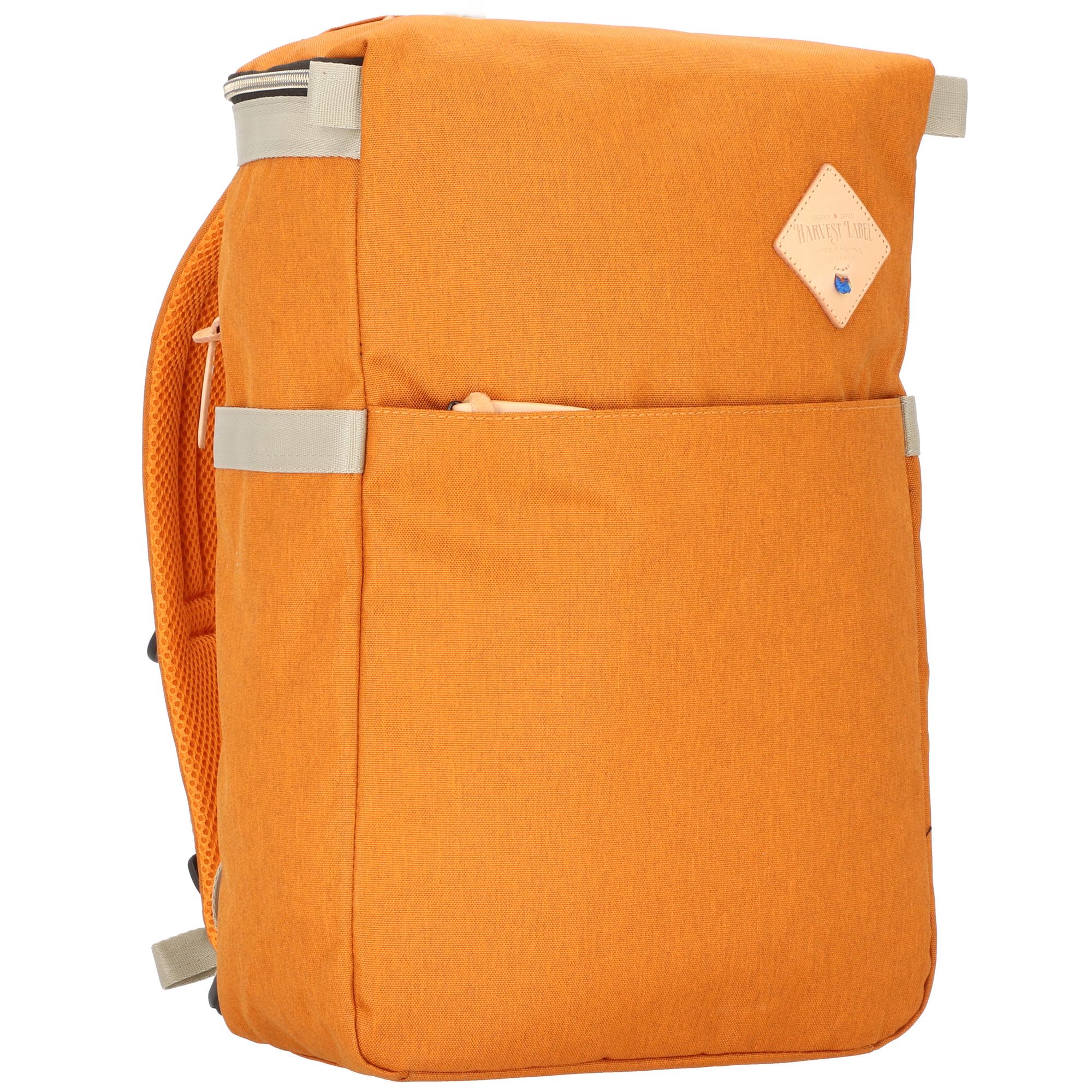 HLO-0981-orange_2